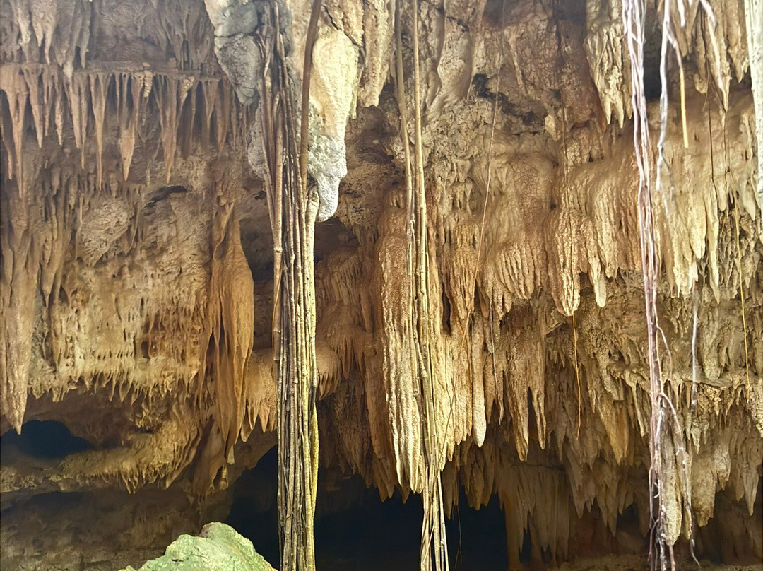 Cayman Crystal Caves-大开曼岛必去景点