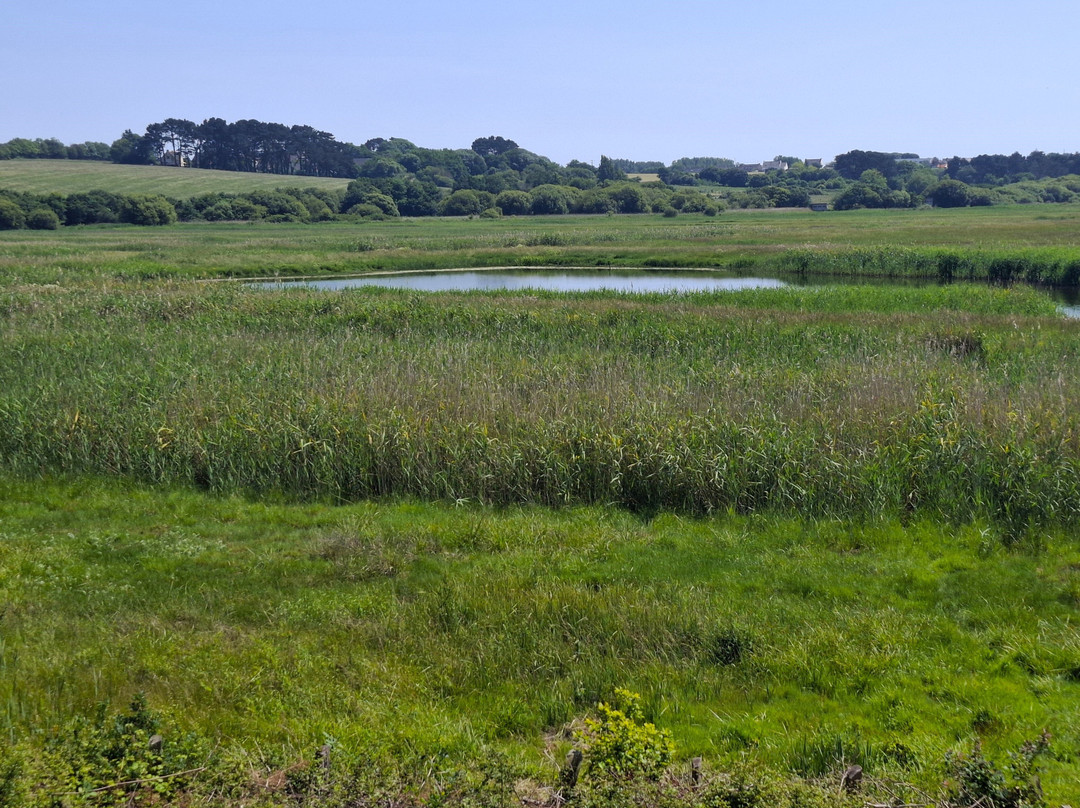 Réserve Naturelle Régionale des Étangs du Loch-吉代必去景点