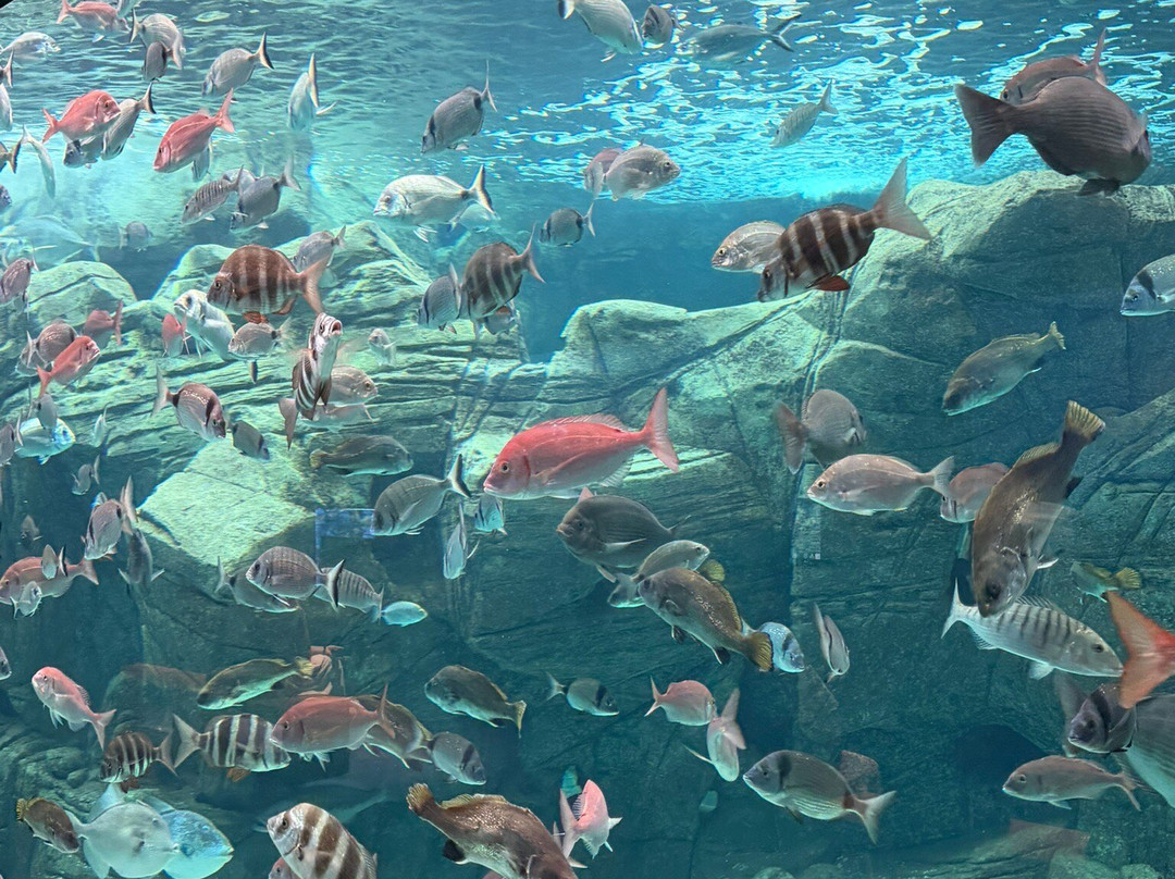 CRETAquarium-Gournes必去景点