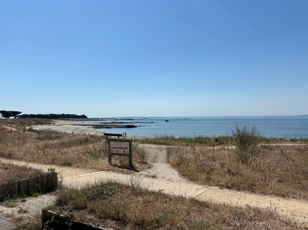 Le Petit Train de Quiberon-基伯龙必去景点