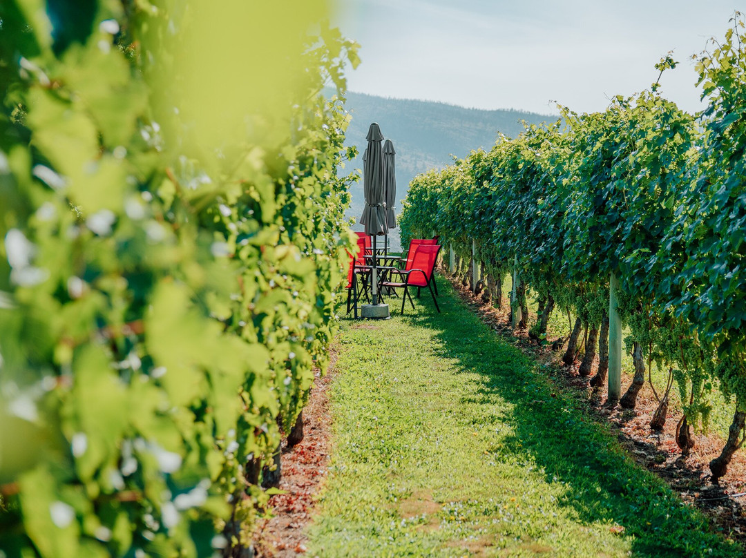 River Stone Estate Winery-Oliver必去景点