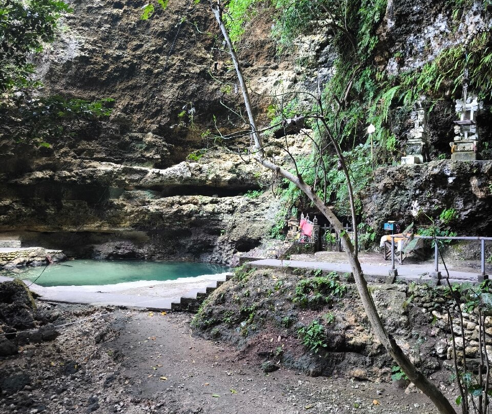 Tembeling Beach and Forest-珀尼达岛必去景点