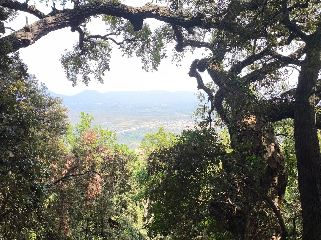 Rocher de Roquebrune-阿尔冈河畔罗屈埃布吕纳必去景点