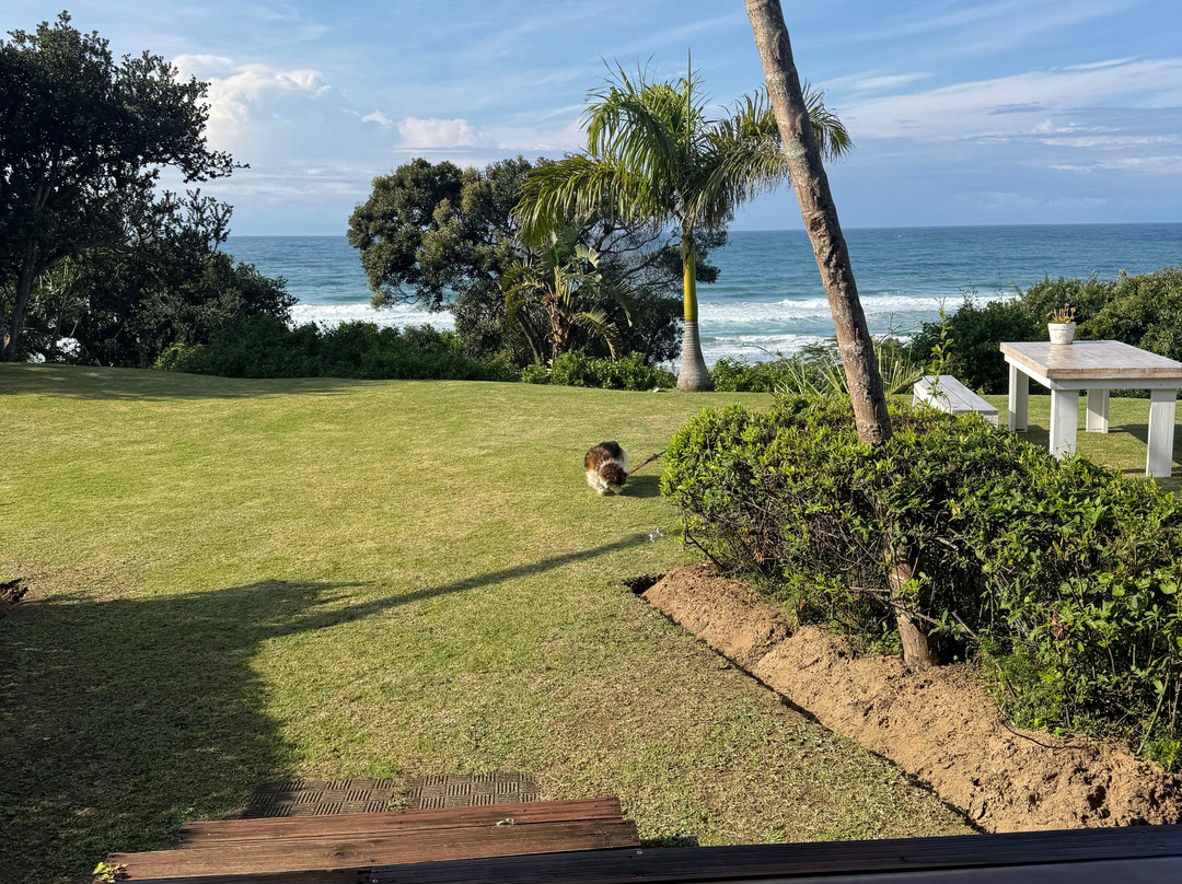 Crawford's Beach Lodge主图