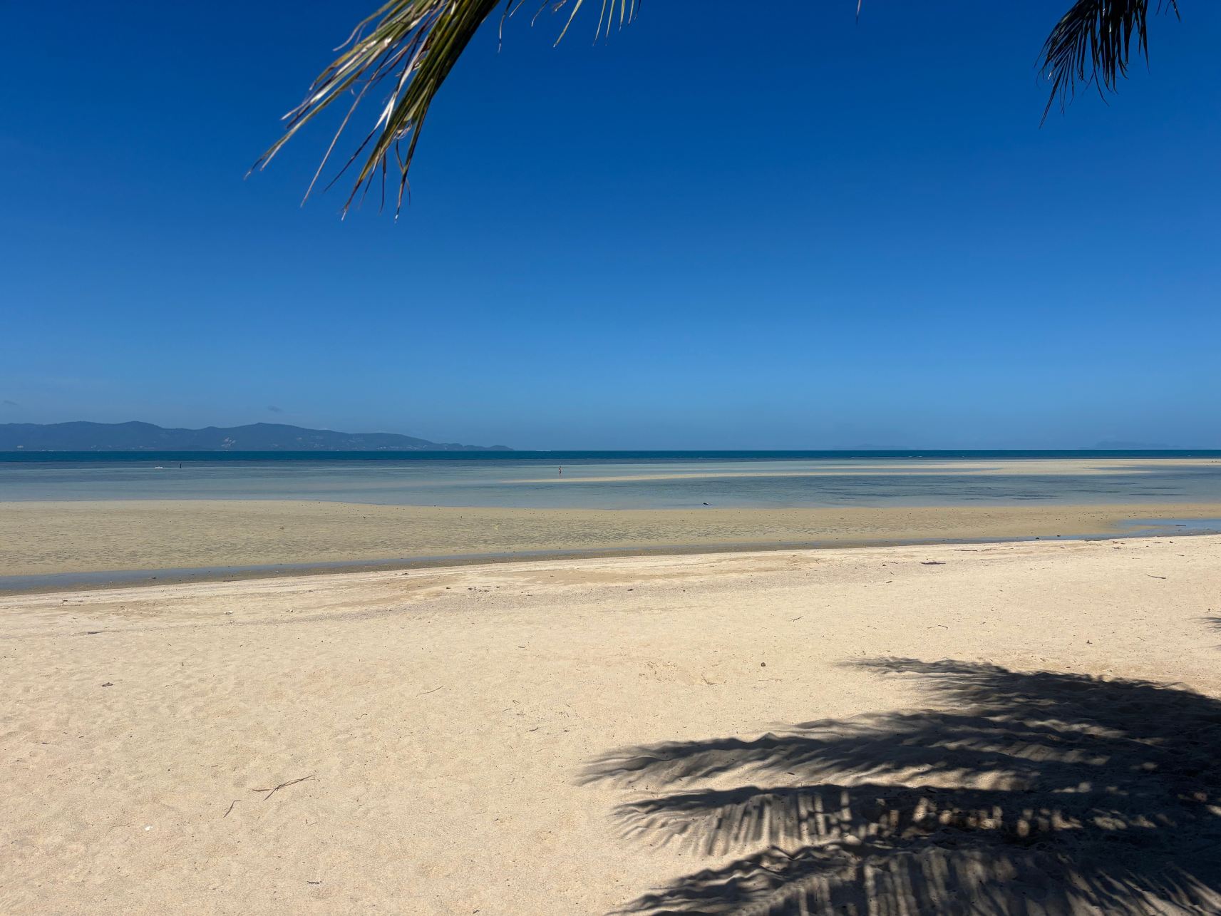 Mac's Bay Resort-旅行者