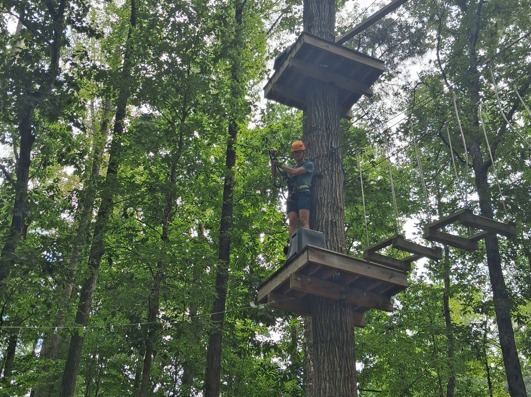 Canopy Adventure Park-中洛锡安必去景点
