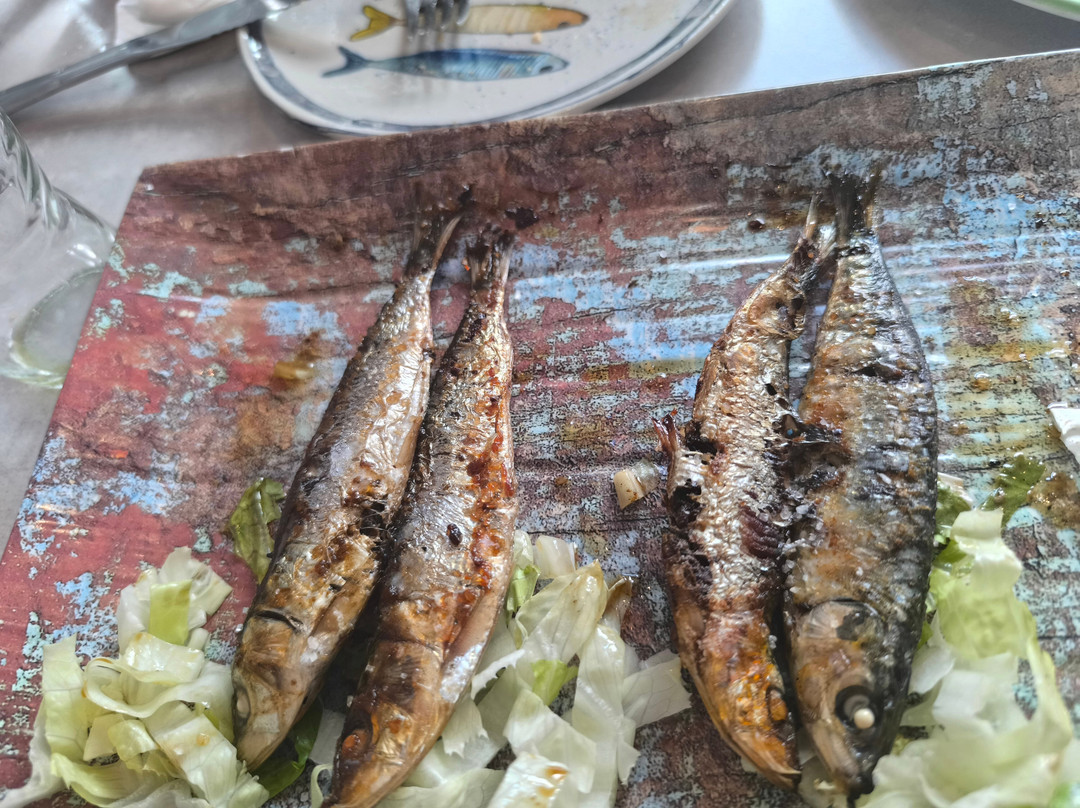 Calamar Multibar