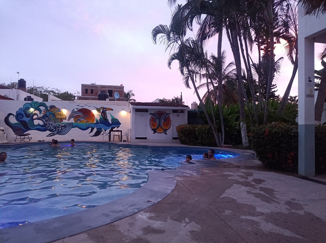 Estancia Dolphin's主图