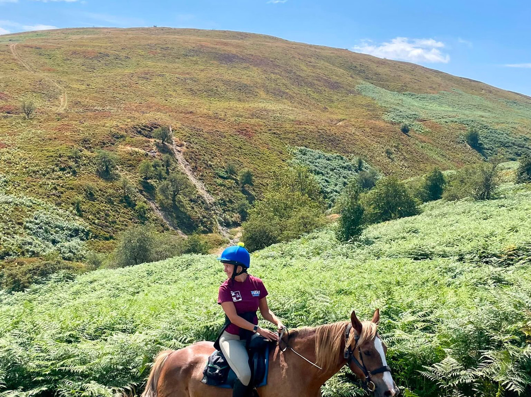 Freerein Riding Holidays-Clyro必去景点