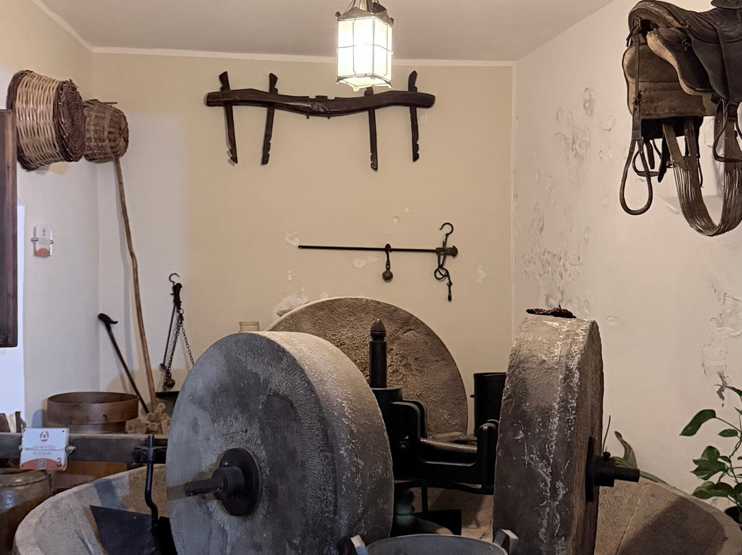 Amoreolio Museo dell'olio di Colobraro-Colobraro必去景点