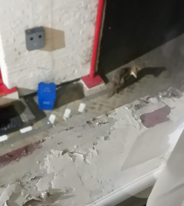 伊尔弗勒科姆之家酒店 - 近崖亭主图