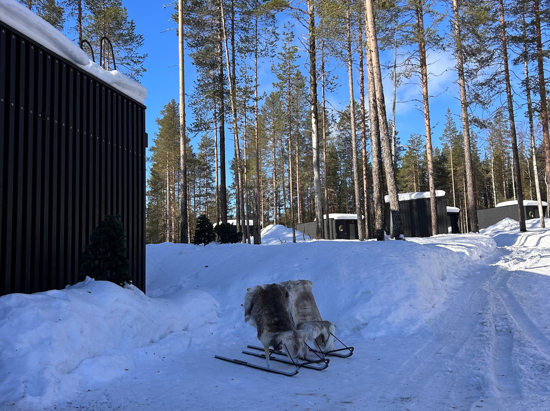 OloResort Levi
