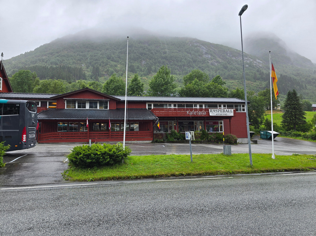 Audhild Viken