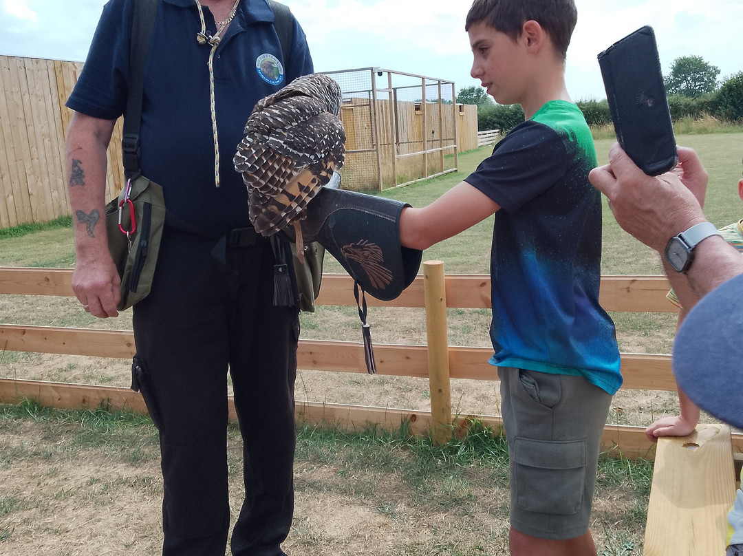 York Bird of Prey Centre-伊辛瓦必去景点