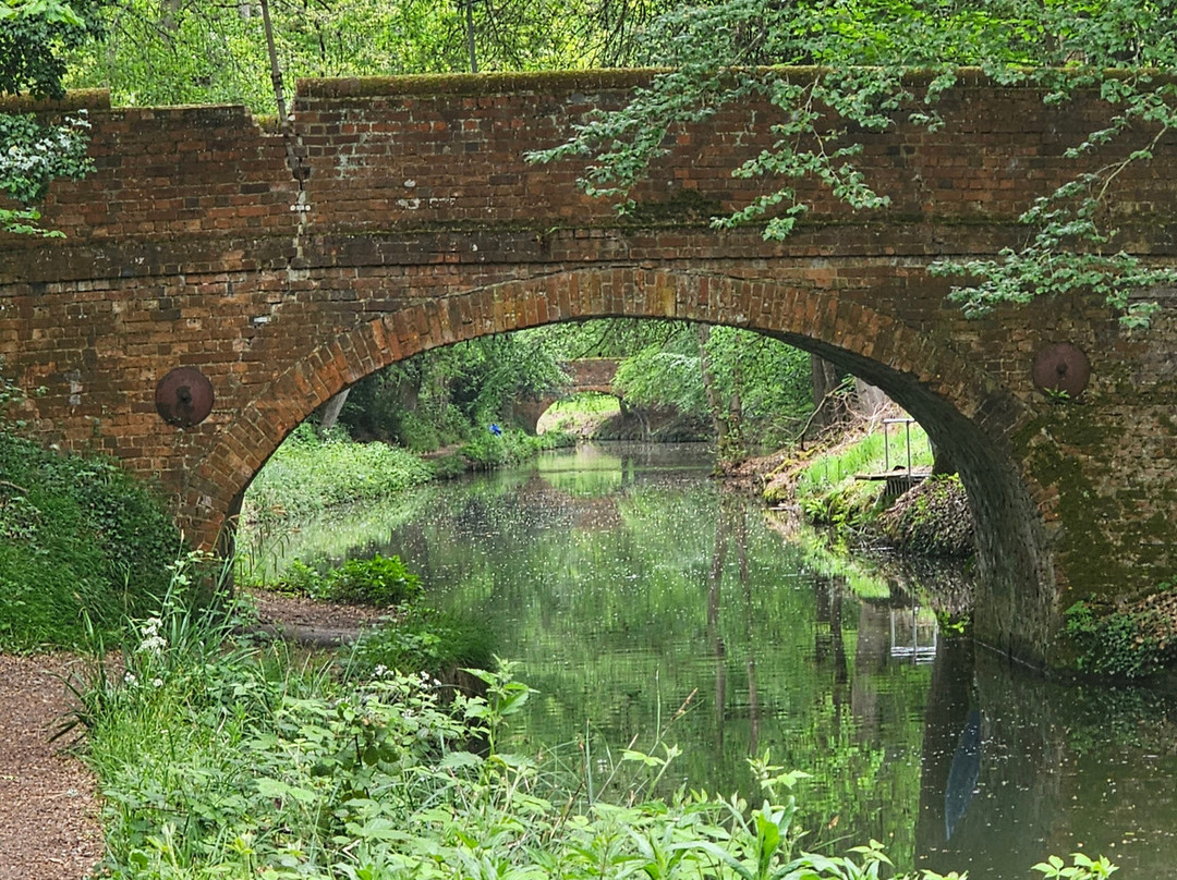 Basingstoke Canal-Mytchett必去景点