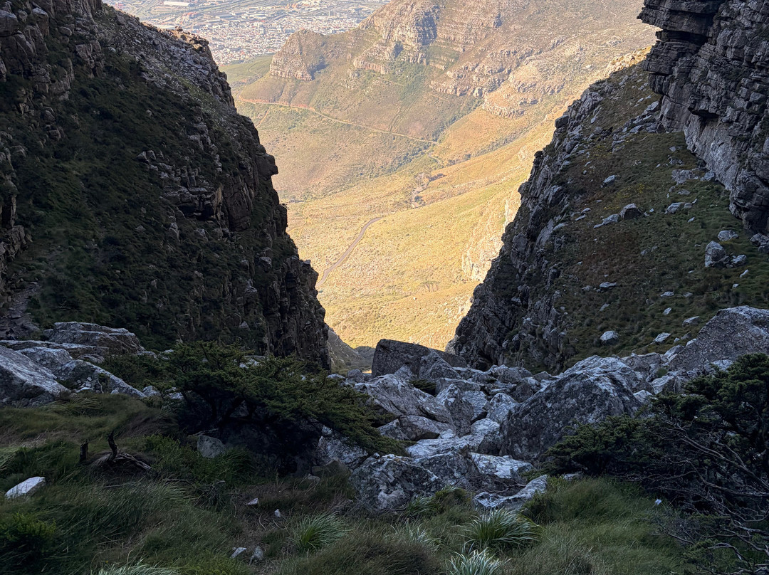 桌山-桌山国家公园必去景点