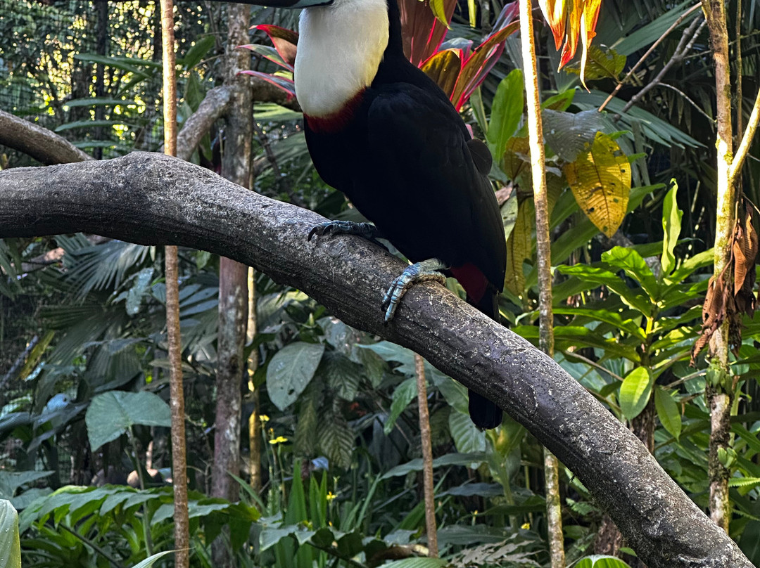 BioParque Yanacocha-Puyo必去景点