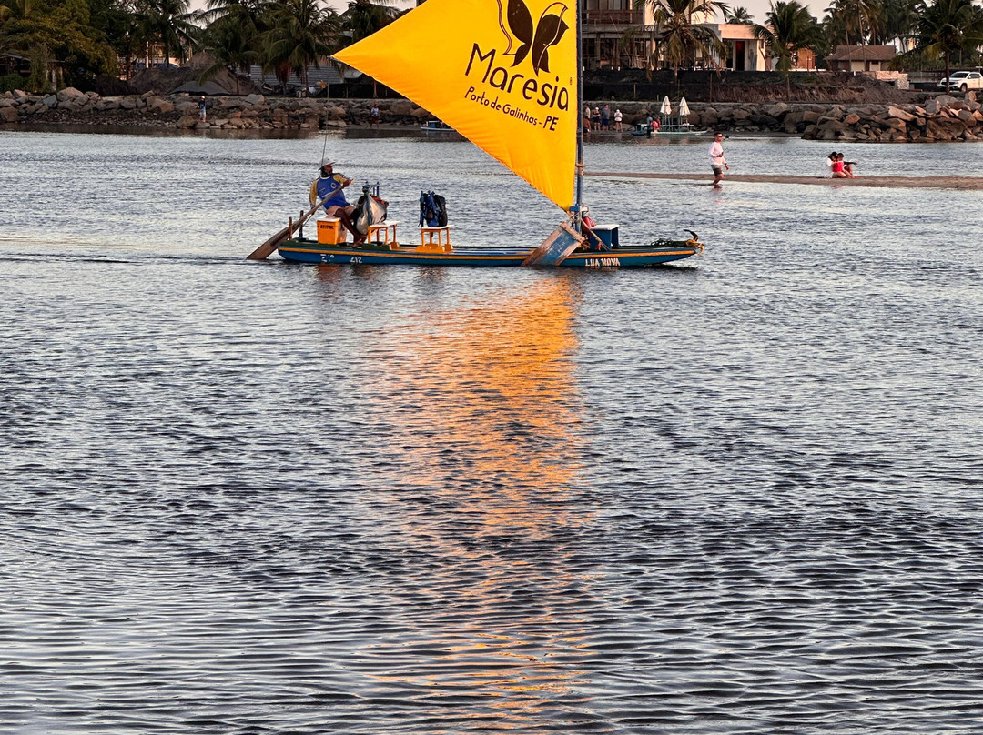 Pontal de Maracaipe-嘎林海斯港必去景点