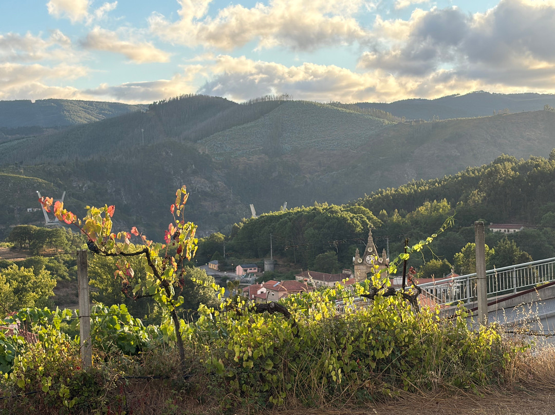 Quinta da Vila