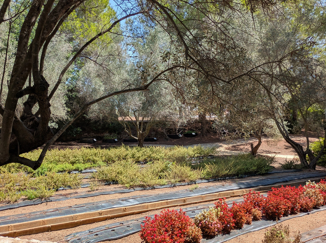 Botanical Garden Ecoherbes Park-L'Ampolla必去景点