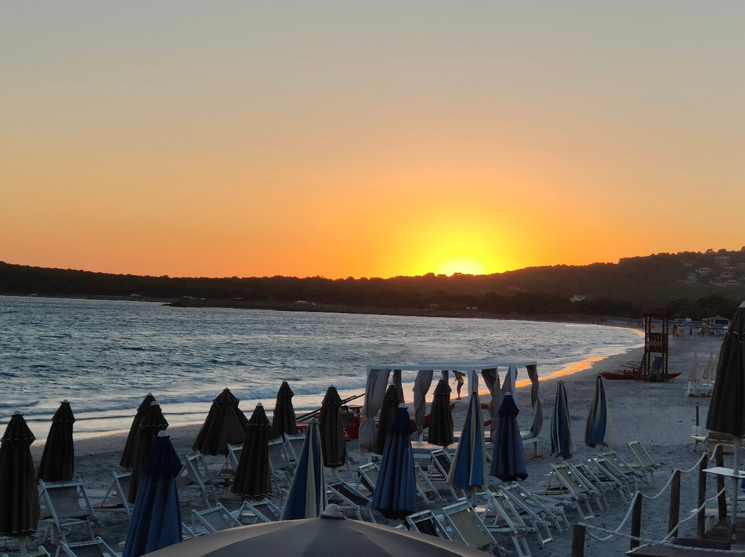 Butterfly Beach Club