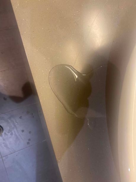 达特福德布兰兹哈奇美居水疗酒店-旅行者
