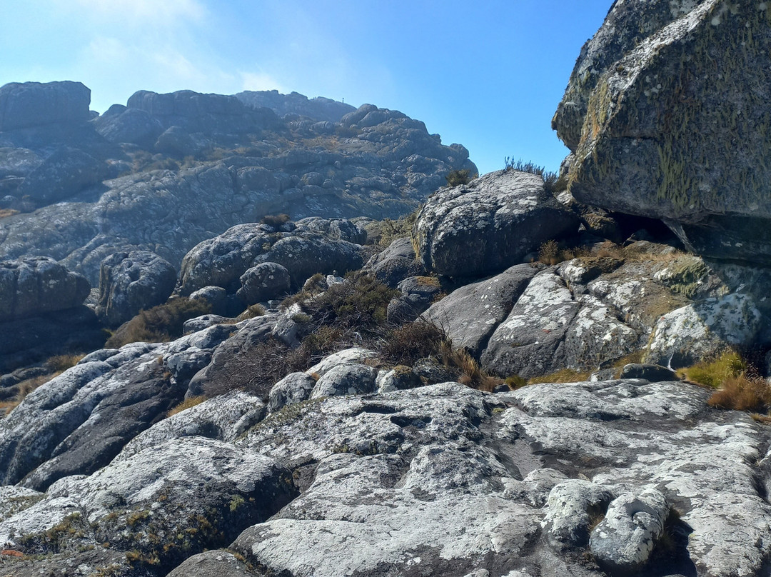 Mulanje Mountain Tour Guide-姆兰杰必去景点