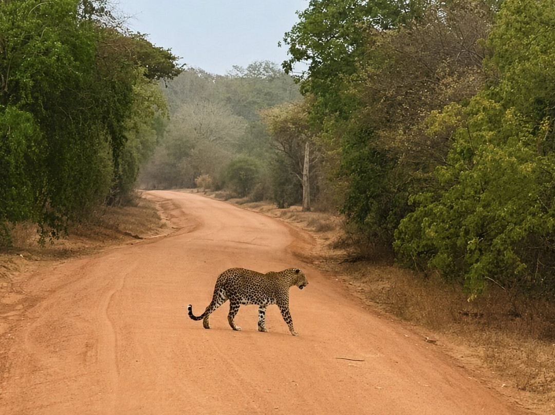 Indunil tours Sri Lanka-Deniyaya必去景点