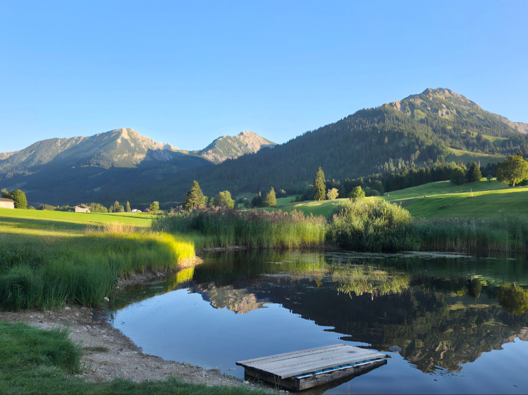 Ruhehotel & Naturresort Rehbach - Adults Only主图