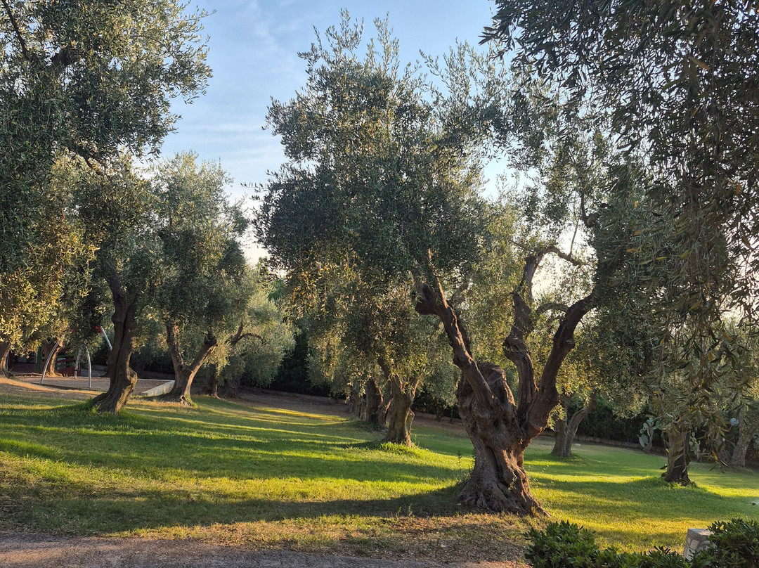 Villaggio Uliveto - Family Experience主图