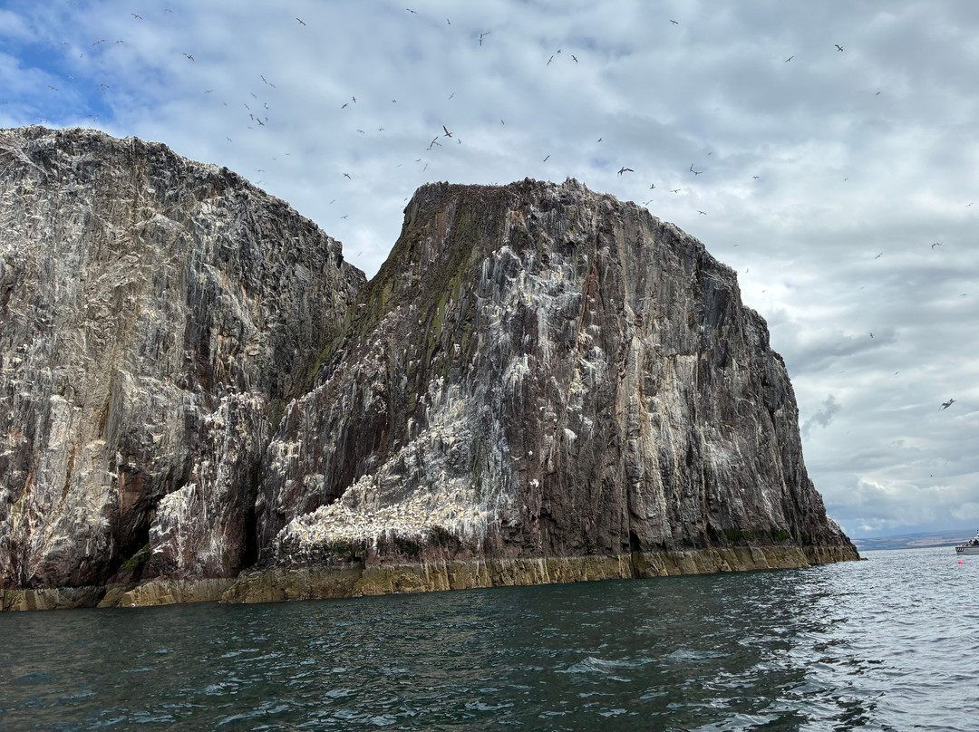 Scottish Seabird Centre-北柏威克必去景点