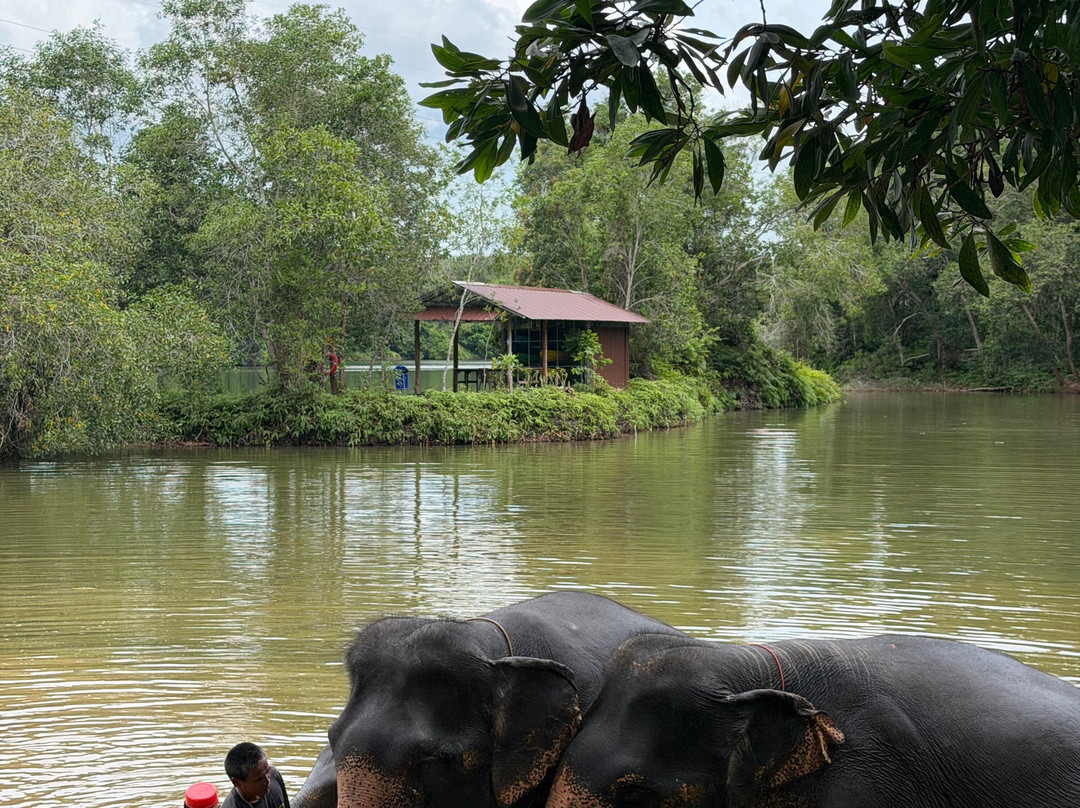 The Lake Phuket Elephant Home-Thep Krasatti必去景点