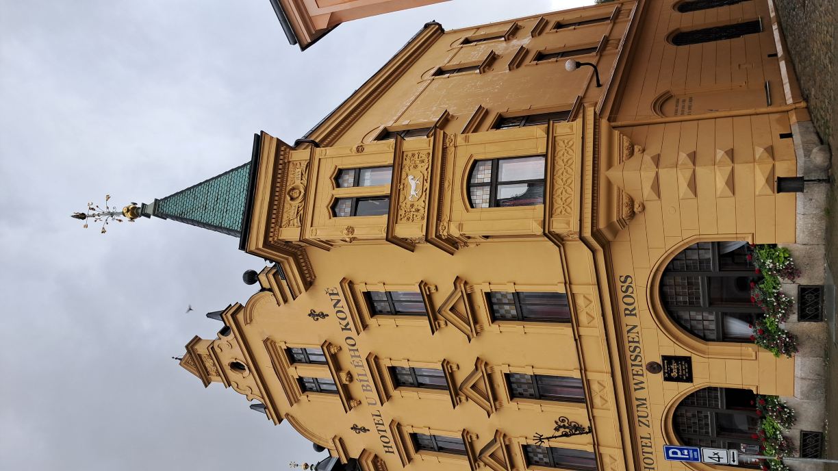 Hotel U Bileho kone-旅行者