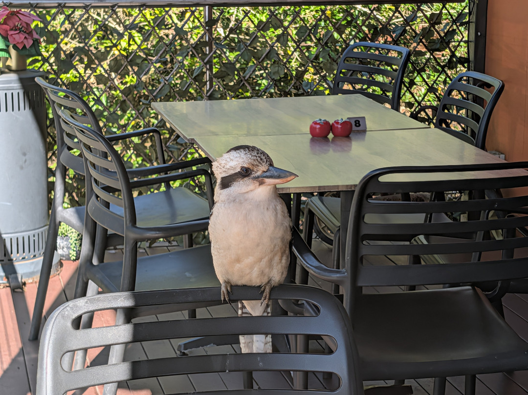 The Treehouse cafe and bar