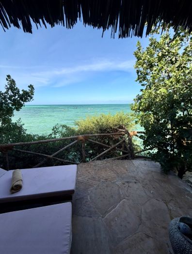 The Island - Pongwe Lodge-旅行者