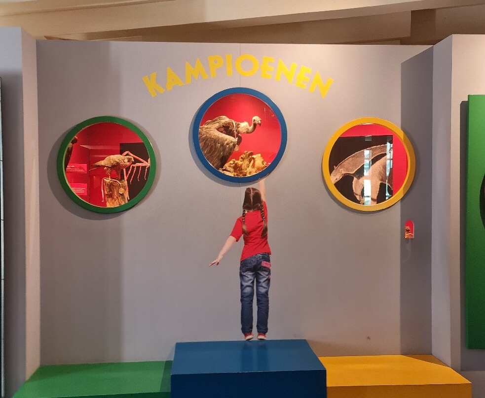 Natuurmuseum Fryslan-吕伐登必去景点