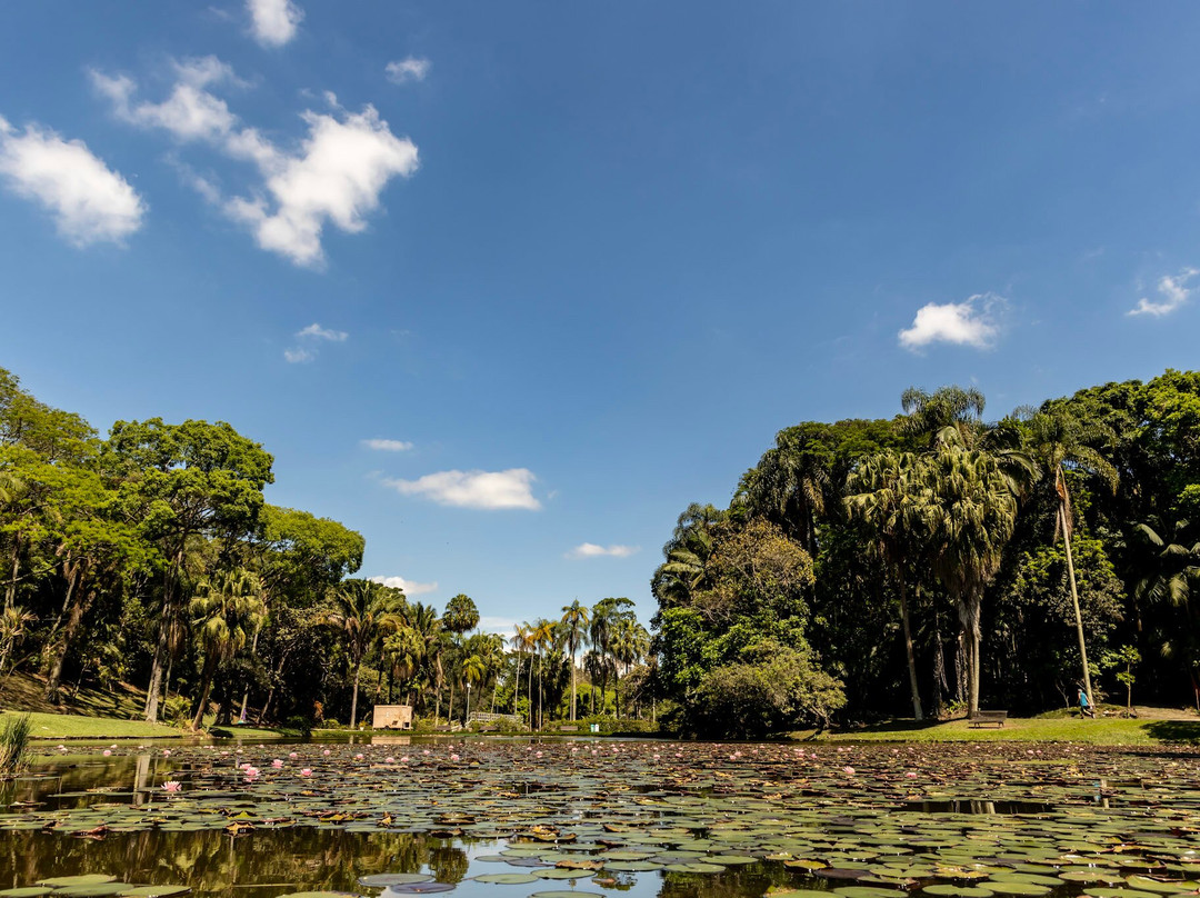 Jardim Botânico de São Paulo-圣保罗必去景点