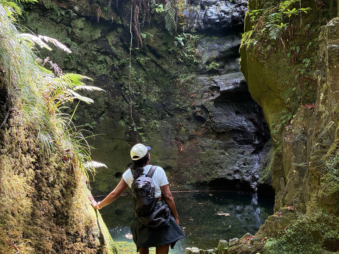 Madeira Wonder Hikes-沙尔必去景点