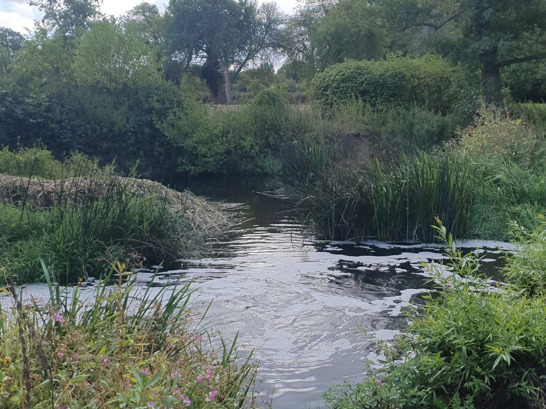 Charlecote Mill-Hampton Lucy必去景点