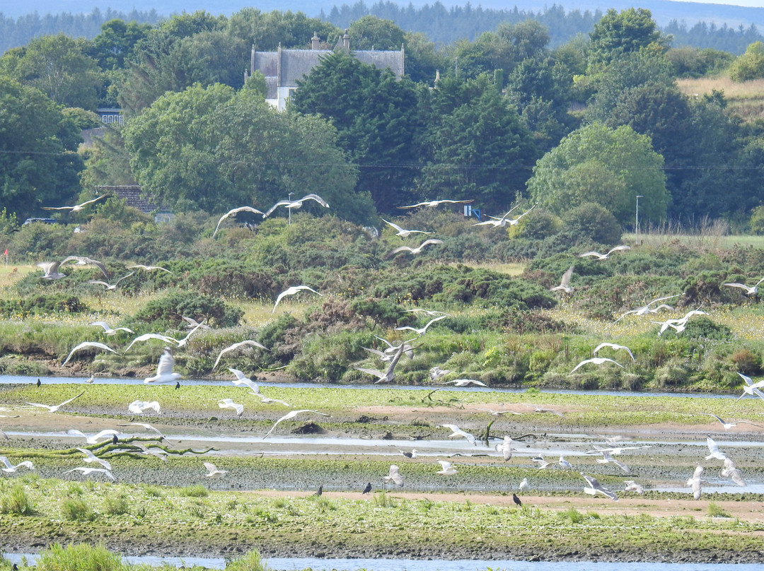 WDC Scottish Dolphin Centre-Fochabers必去景点