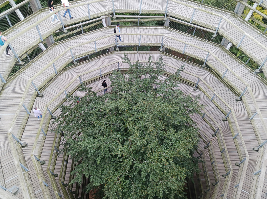 Baumwipfelpfad im Naturerbe Zentrum Rügen-奥茨巴德宾兹必去景点