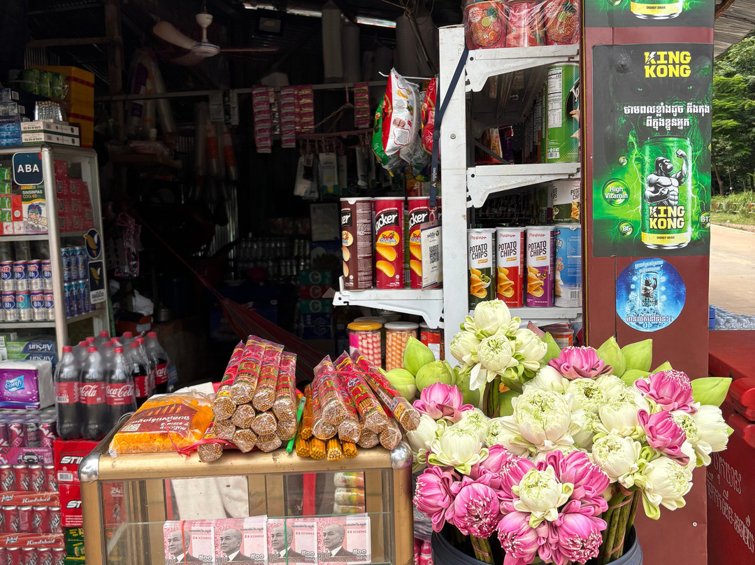 Viti's Siem Reap Private Driver & Tour-暹粒必去景点