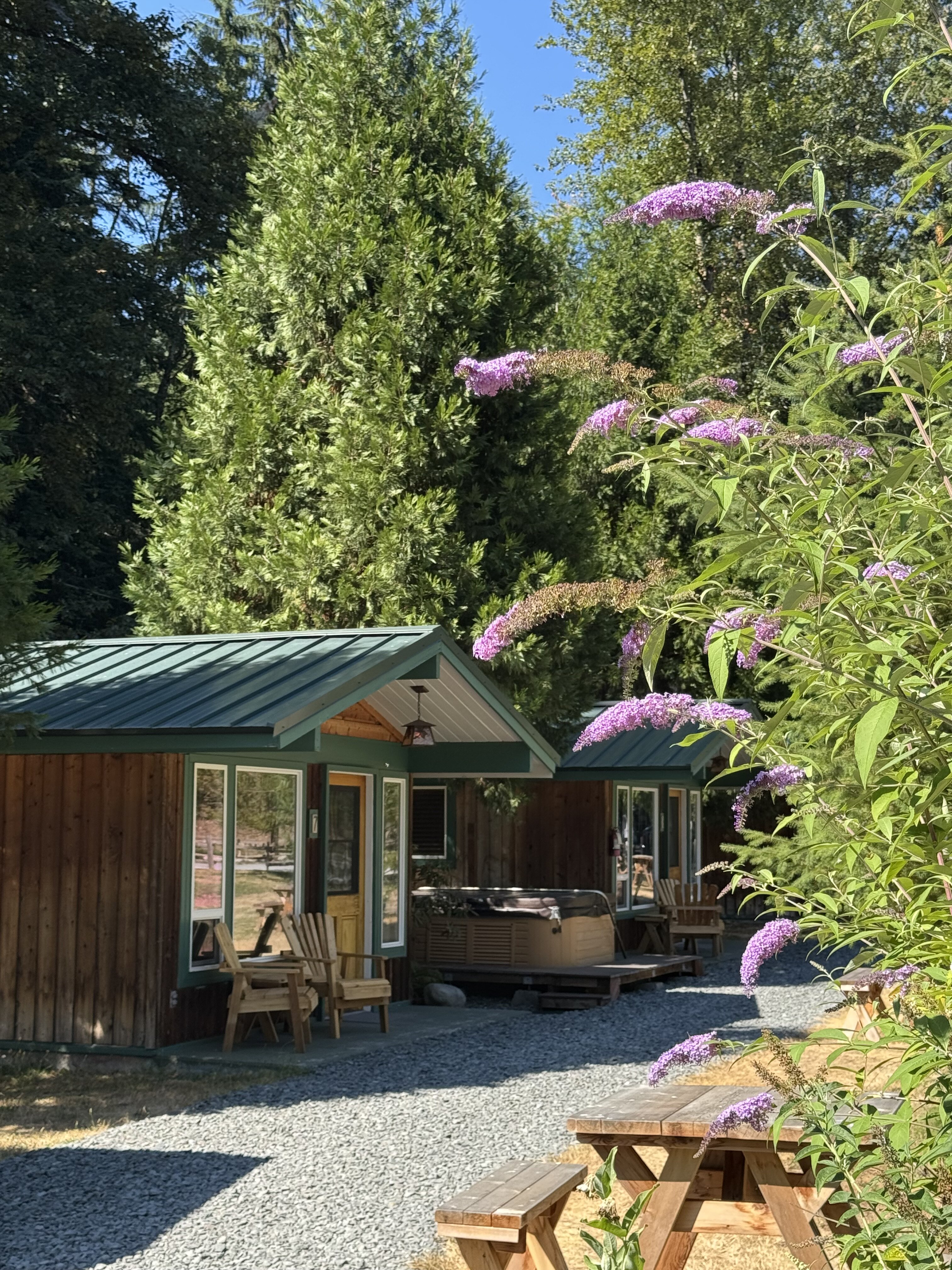 Stone Creek Lodge at Mt. Rainier-旅行者