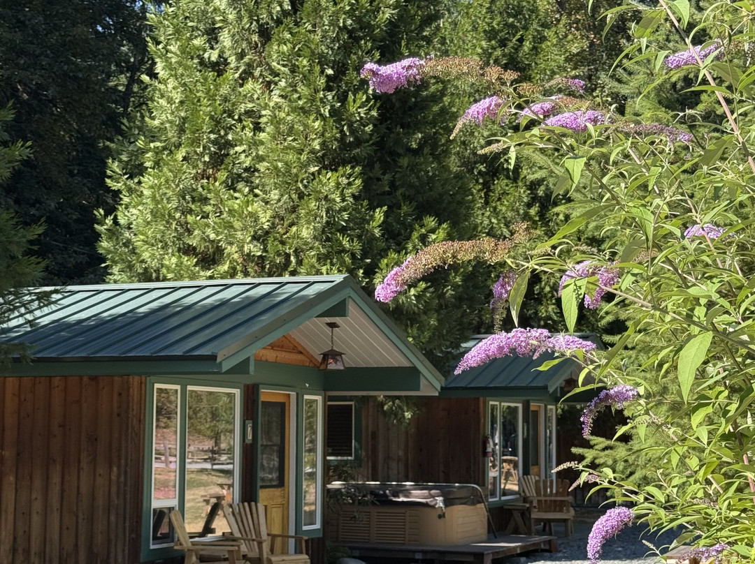 Stone Creek Lodge at Mt. Rainier主图