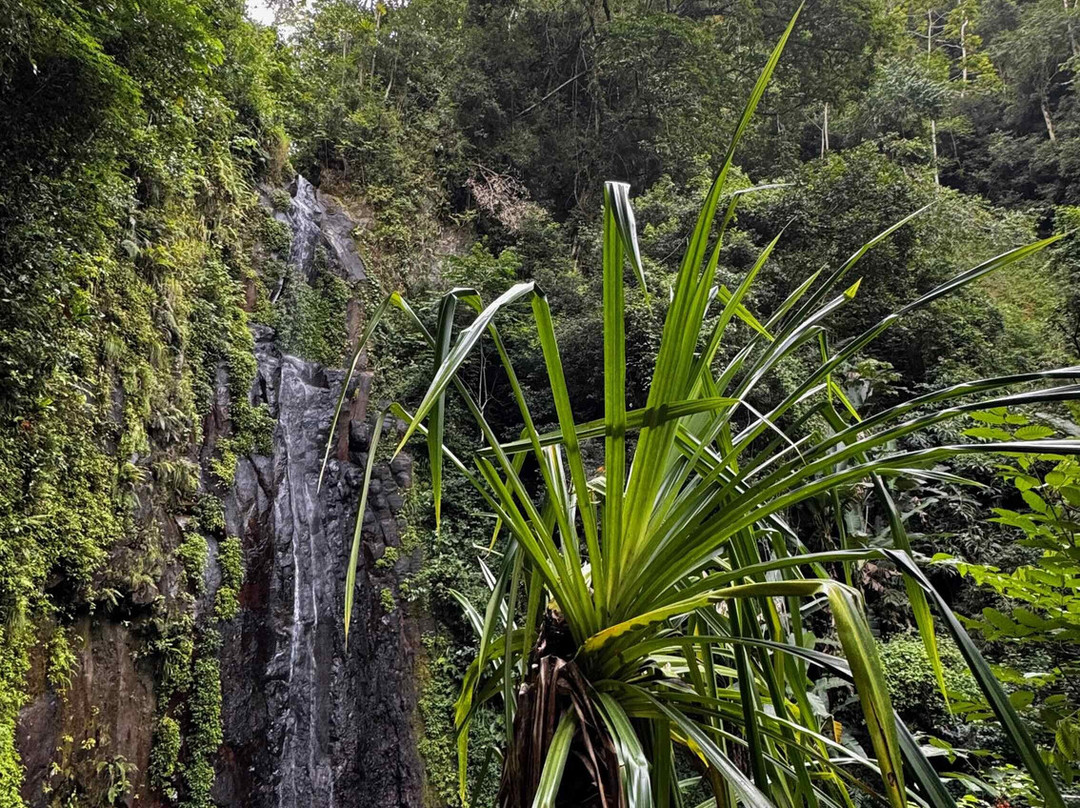 Cascata de Sao Nicolau-圣多美必去景点