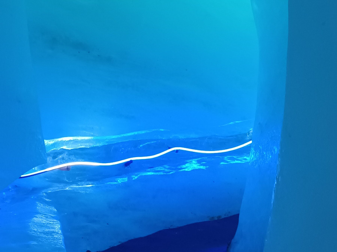Montenvers – Mer De Glace-霞慕尼必去景点