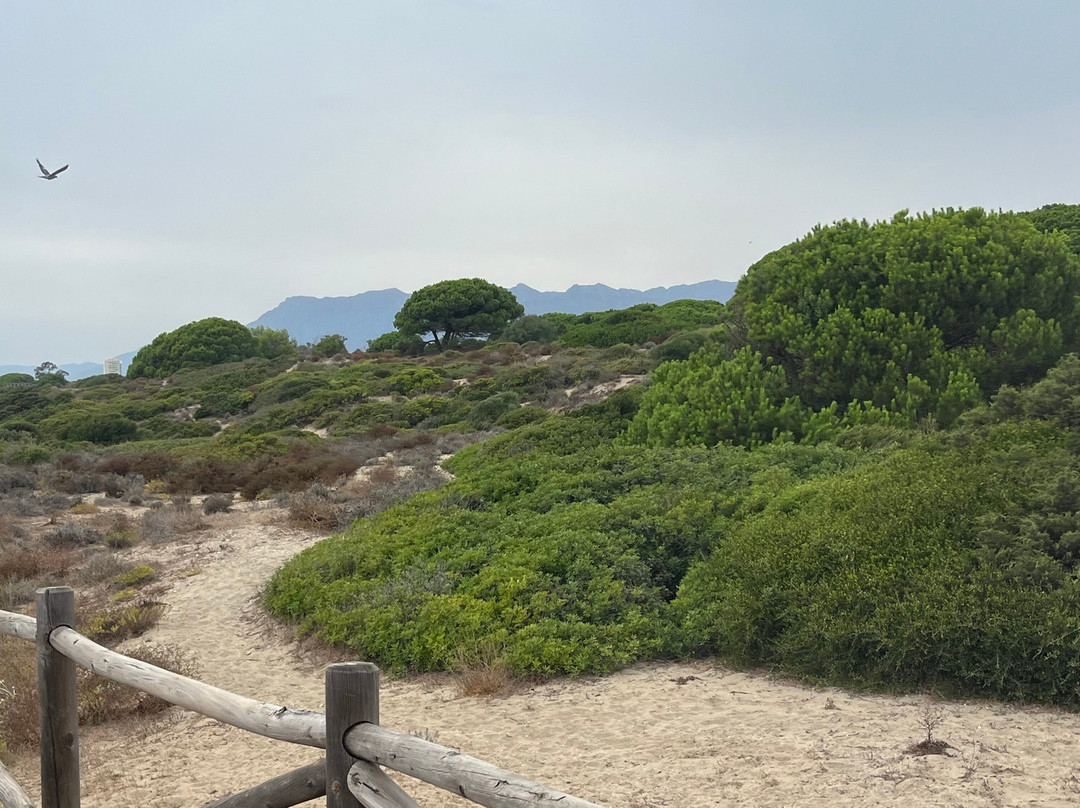 Cabopino Beach-马贝拉必去景点
