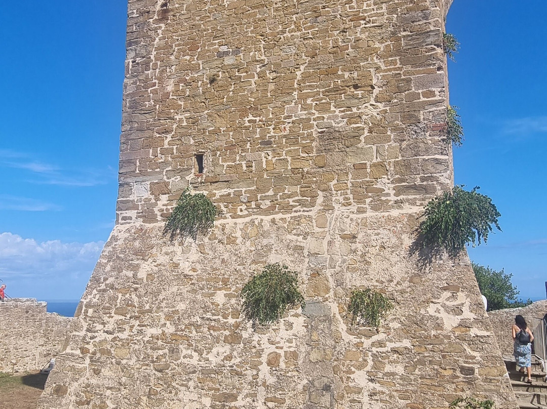 Torre Medievale e Rocca Degli Appiani-Populonia必去景点