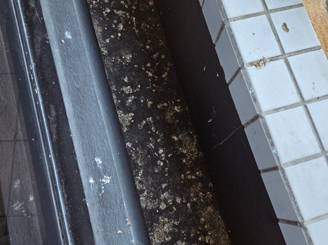 福特莱萨波旁酒店主图