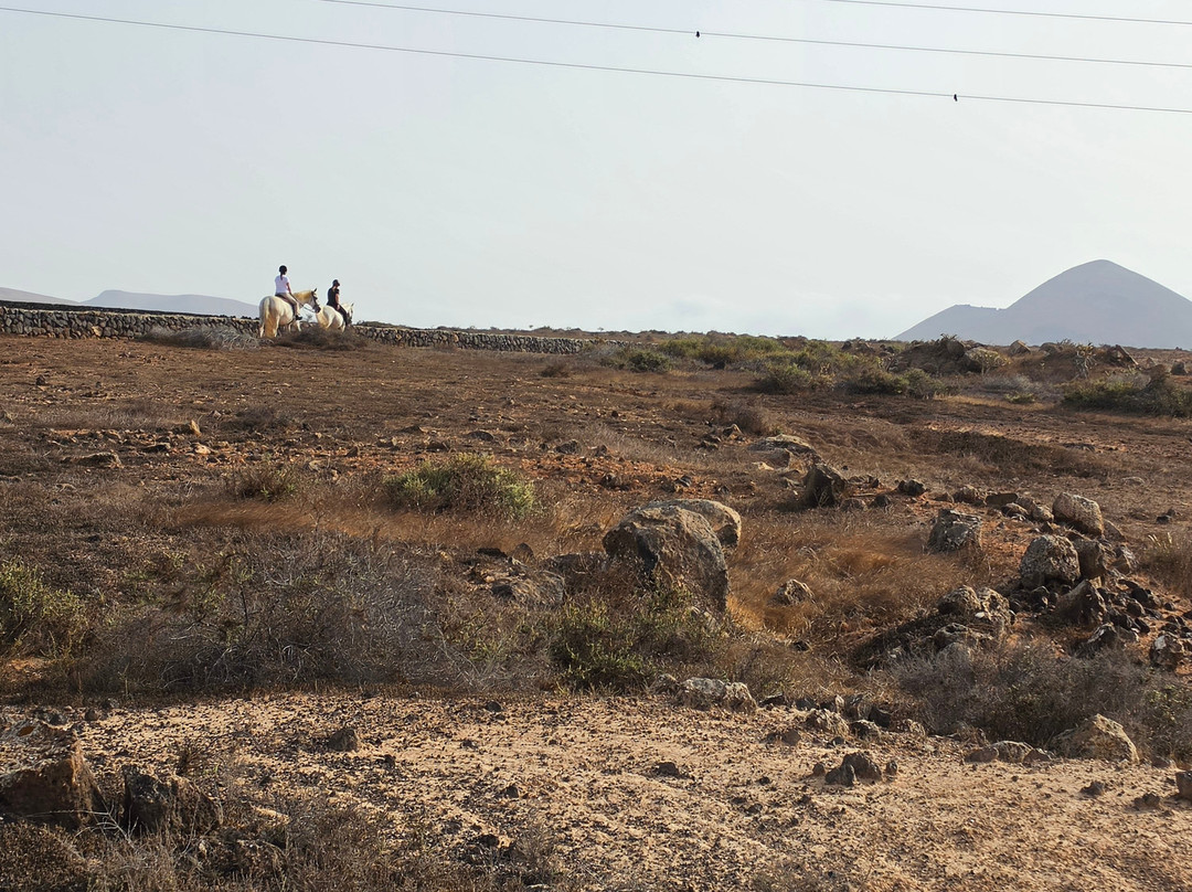 Horses Lanzarote-Teseguite必去景点
